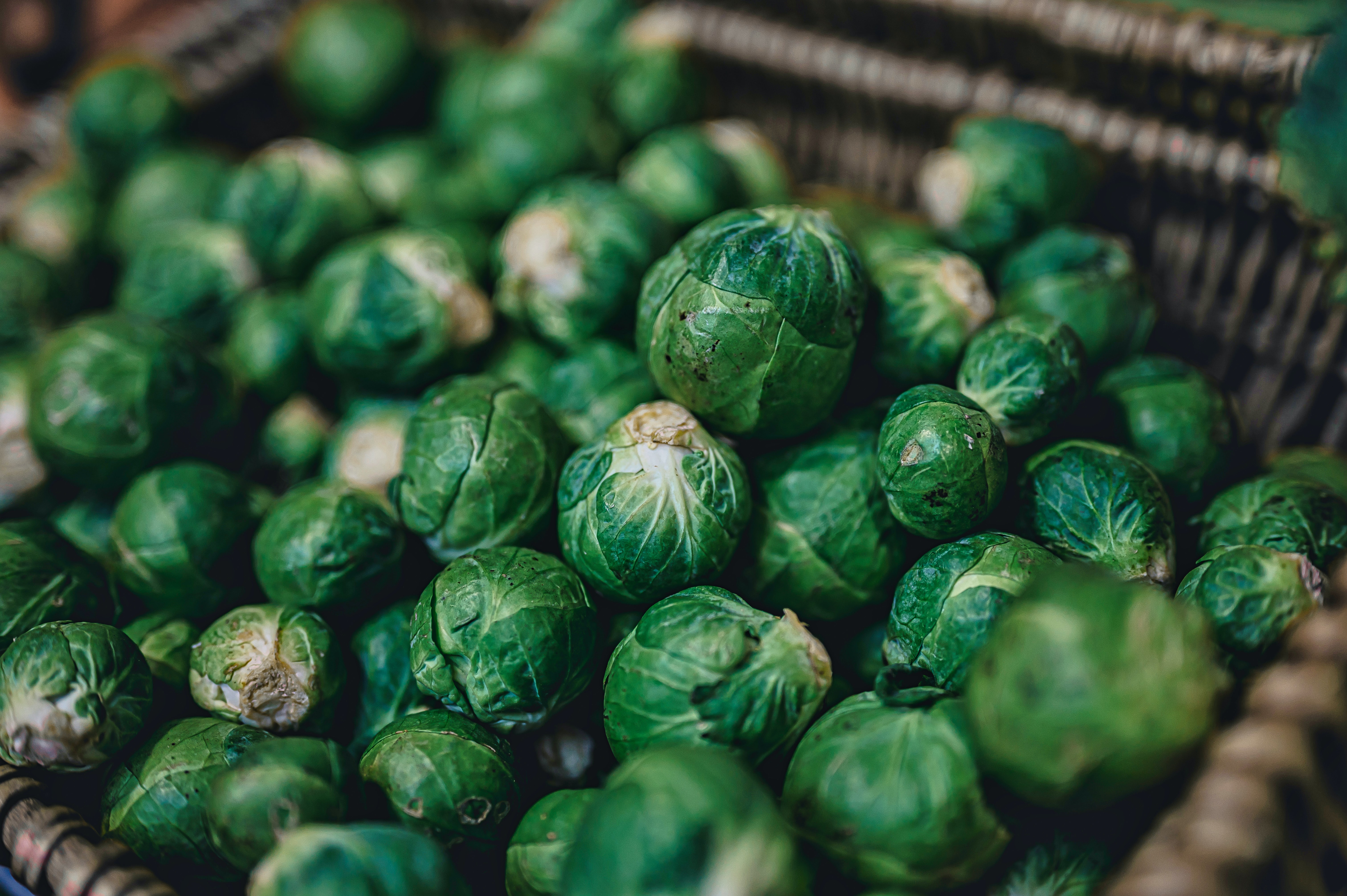 Fresh Picked Brussel Sprouts