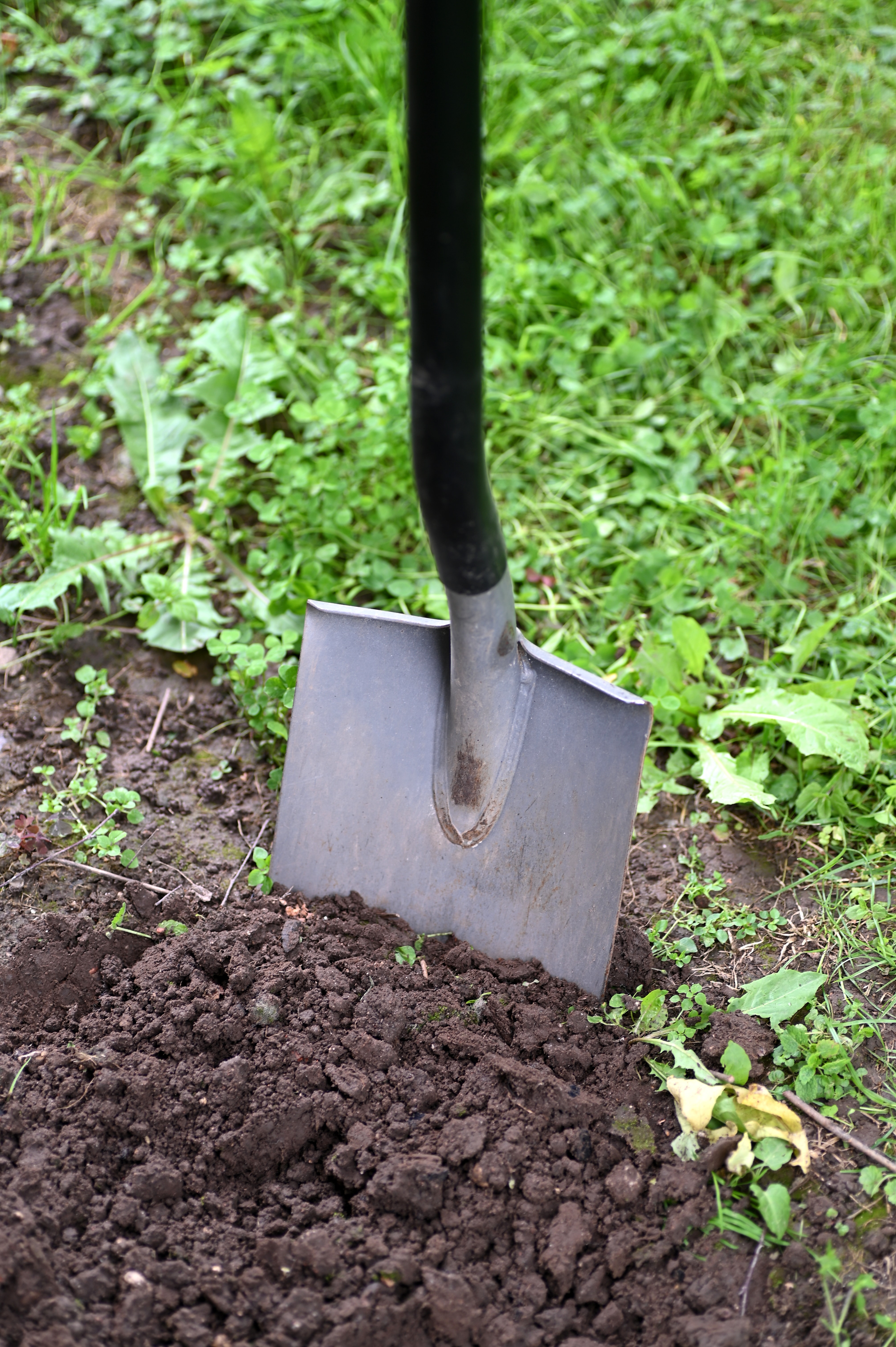 Shovel